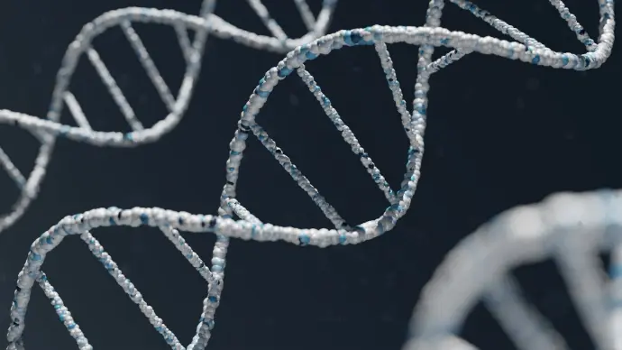 Estructura de ADN para detección de organismos genéticamente modificados
