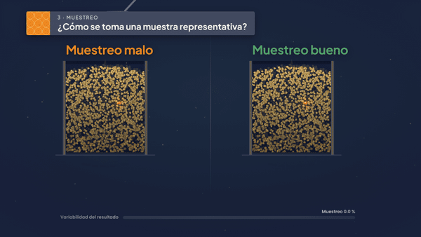 Una cuchara toma grano de la superficie y produce un falso negativo; una sonda toma incrementos a distintas profundidades.